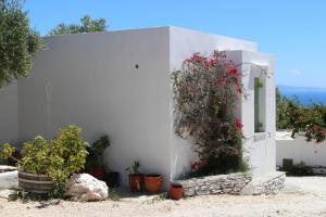 Eleonas Apartments Sifnos Greece