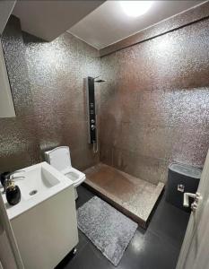 Apartament David Mamaia Nord