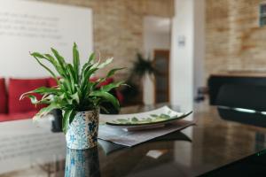 Panphilia: Holiday Apartment