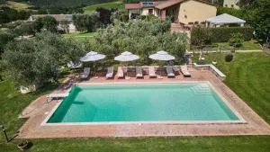 Il Passo Degli Ulivi - Pari