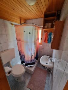 Mountain apartment Uskovnica