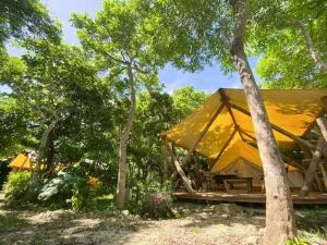 RAINBOW FOREST Permaculture filed - Vacation STAY 78984v - Ibaruma