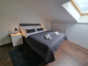 Apartments Paradiso