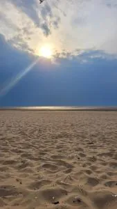 Mill Lane - 威勒尔