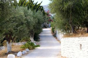 Eleonas Apartments Sifnos Greece