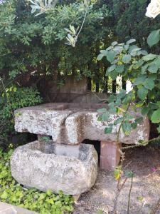 Il Casale Del Cortonese