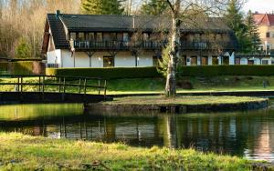 Das Waldseechalet Traumhafter Waldseeblick - großzügige Wohnung 