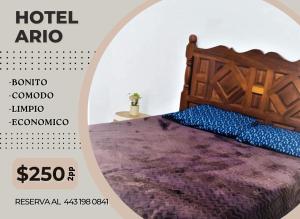 Hotel Ario