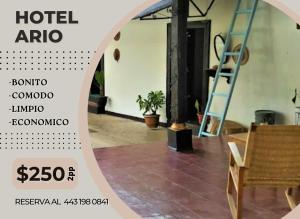 Hotel Ario