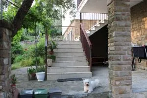 BELLA VISTA BOLOGNESE - Castiglione