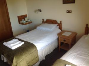 Twin Room room in The Glan Yr Afon Inn