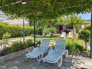 House Roko by the sea