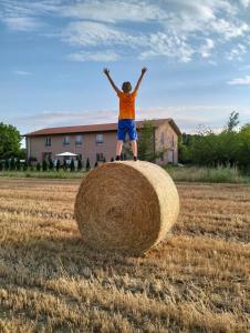 Agriturismo Campi Di Grano