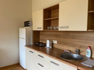 Apartamentai su jaukiu kiemu- SOLEY APARTAMENTAI No1