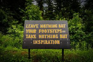 Forest Amerika - Ivcakova koliba