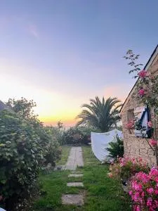 Maison conviviale 8 personnes, vue mer, animaux acceptés - Lanvéoc