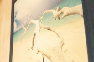 Columela by Gades Gestión