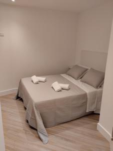 Apartamentos Mar de la Concha