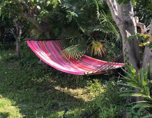 Villa calme grand jardin bord de mer. Parking