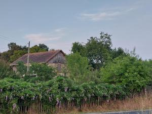 Maisons de vacances Petite ferme dans le Perigord pourpre en Dordogne : photos des chambres