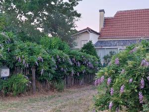 Maisons de vacances Petite ferme dans le Perigord pourpre en Dordogne : photos des chambres