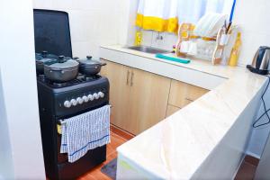 Cozy one bedroom thika Road near garden city