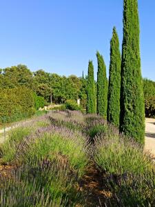 B&B / Chambres d'hotes La bastide de Cocagne : photos des chambres