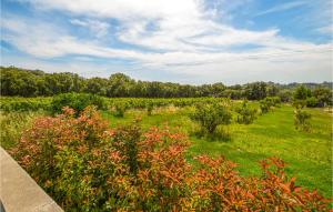 Maisons de vacances Amazing Home In Giuncaggo With Outdoor Swimming Pool, Wifi And 3 Bedrooms : photos des chambres