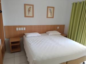 Golden Dolphin Resort - Caldas Novas - Aguas Termais - Grand & Express & Supreme