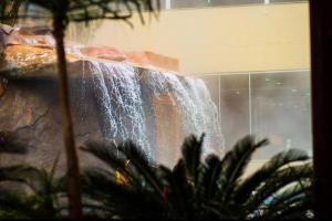 Golden Dolphin Resort - Caldas Novas - Aguas Termais - Grand & Express & Supreme