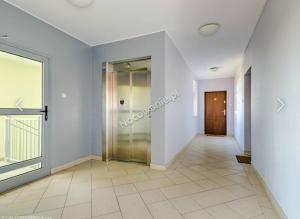 Apartament OLA