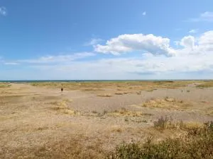 Dolly's Lookout - Wrentham