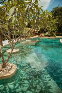 Cachoeira do Macuco Boutique Hotel