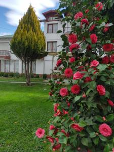 Complejo Turístico Luz de Luna