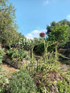 Aphrodites hidden gem on Paxos island