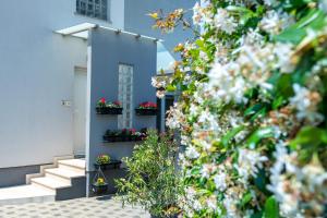 Apartments Greta & Ivona