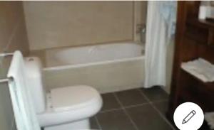 En Playa Coroso y admito Mascotas