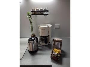 Appartements Furnished & independant flat - Brides-les-bains - Thermal spa 50m : photos des chambres