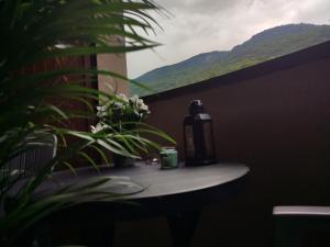 Appartements Furnished & independant flat - Brides-les-bains - Thermal spa 50m : photos des chambres