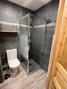 Appartements Le Grizzly Joli studio secteur Chatel - Chapelle d'Abondance : Appartement 1 Chambre