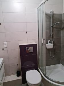 Apartament W Centrum