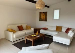 Villa provençale Les Figuiers 3 étoiles - Piscine chauffée