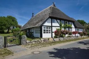 strandnahe Idylle am Meer, private Badestelle, Strandkorb - Gutshof Ostseeblick - Neuendorf