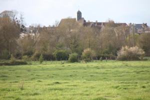 Fleurs de Brenne Gite