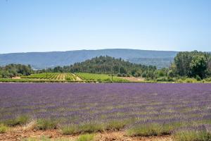 Villas Plein coeur du Luberon : photos des chambres