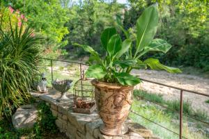 Villas Plein coeur du Luberon : photos des chambres