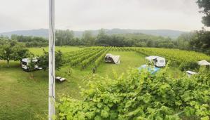 Purple Eye Camp & Winery