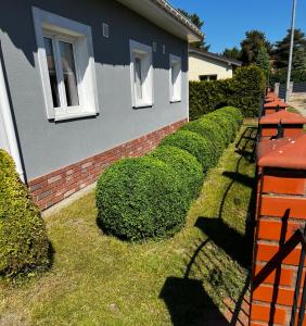 Pod Morskim Niebem