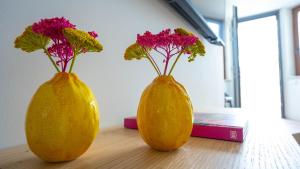 Maravida Vacation Rooms