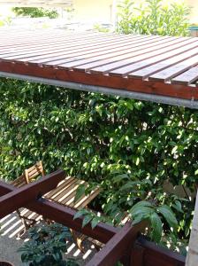 Aegean Breeze Beach House